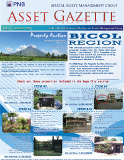 Asset Gazette January 2013